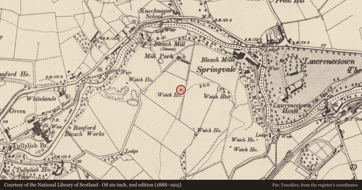 Ordnance Survey six-inch map, 2nd edition (1888–1915) covering the location of Watch House, Springvale Road, Tullylish, Banbridge, Armagh City, Banbridge and Craigavon, with a pin at the register's coordinates