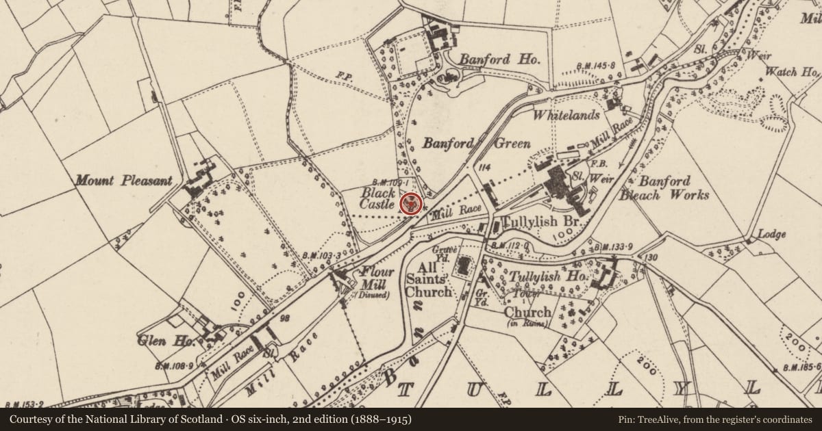 Ordnance Survey six-inch map, 2nd edition (1888–1915) covering the location of Black Castle, Armagh City, Banbridge and Craigavon, with a pin at the register's coordinates
