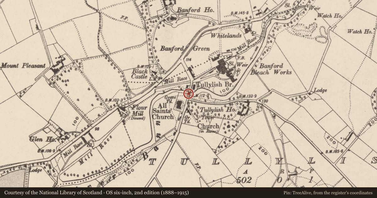 Ordnance Survey six-inch map, 2nd edition (1888–1915) covering the location of Tullylish Bridge, Knocknagore Tullylish, Armagh City, Banbridge and Craigavon, with a pin at the register's coordinates