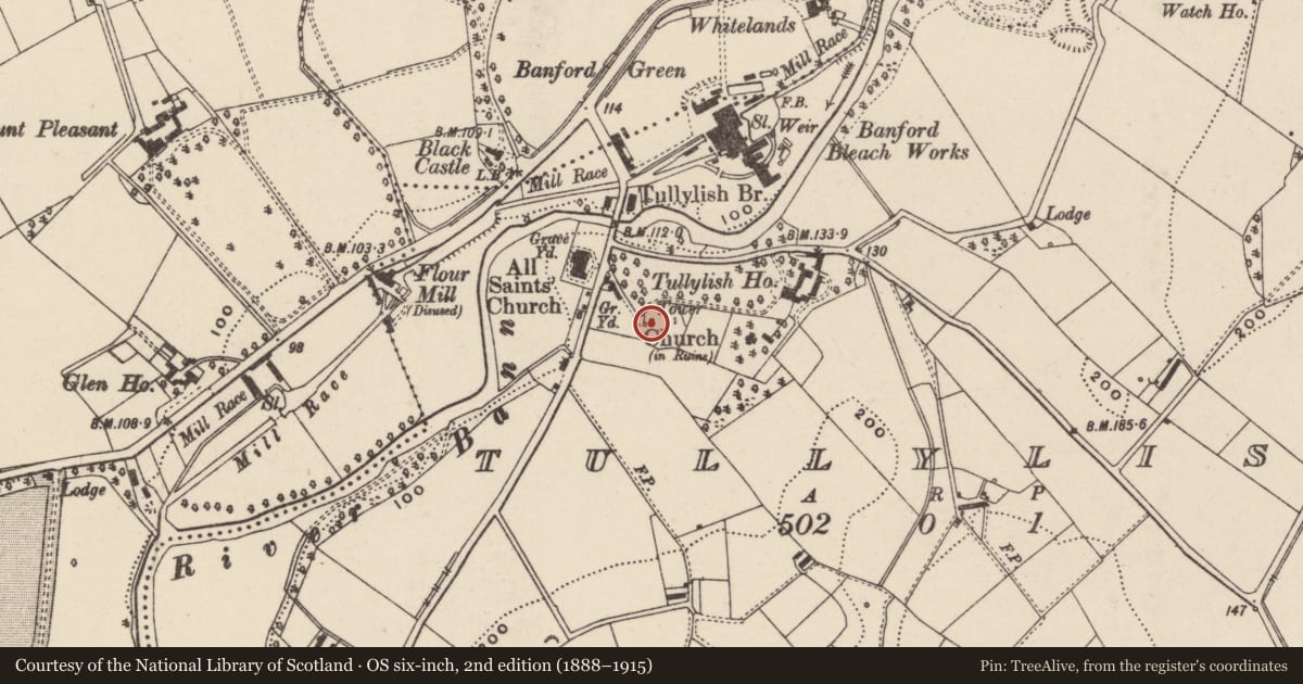 Ordnance Survey six-inch map, 2nd edition (1888–1915) covering the location of Tower, All Saint's Parish Church, 36 Tullylish Road, Tullylish, Co Down, Armagh City, Banbridge and Craigavon, with a pin at the register's coordinates