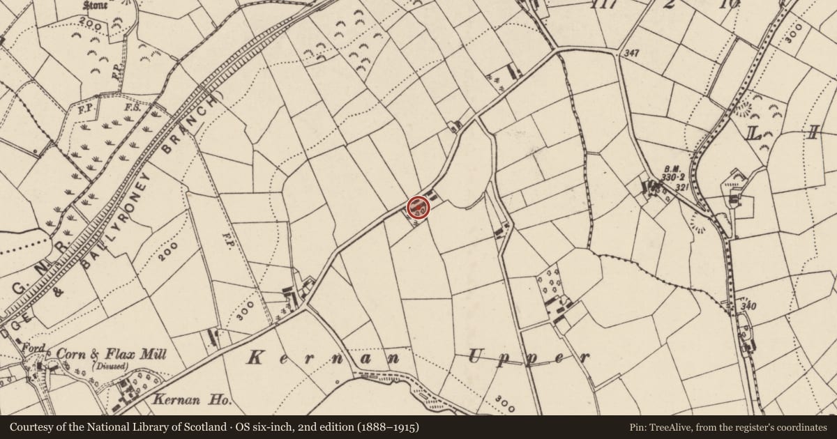 Ordnance Survey six-inch map, 2nd edition (1888–1915) covering the location of 25 Drumaran Road, kernan, Armagh City, Banbridge and Craigavon, with a pin at the register's coordinates