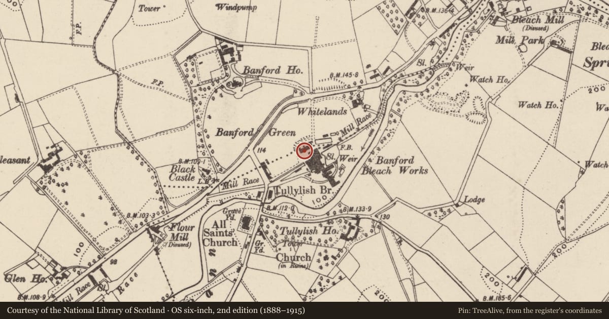 Ordnance Survey six-inch map, 2nd edition (1888–1915) covering the location of Former Office & Stores, Tullylish, Armagh City, Banbridge and Craigavon, with a pin at the register's coordinates