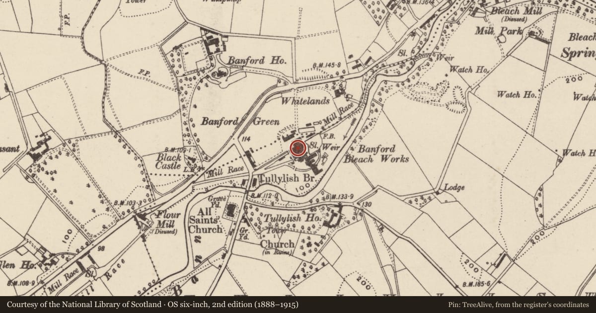 Ordnance Survey six-inch map, 2nd edition (1888–1915) covering the location of Tullylish Pottery, Armagh City, Banbridge and Craigavon, with a pin at the register's coordinates