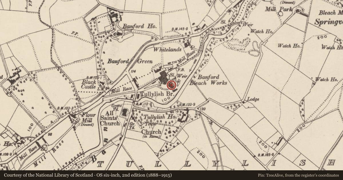 Ordnance Survey six-inch map, 2nd edition (1888–1915) covering the location of Chimney at former Banford Bleach Works, Tullylish, Armagh City, Banbridge and Craigavon, with a pin at the register's coordinates