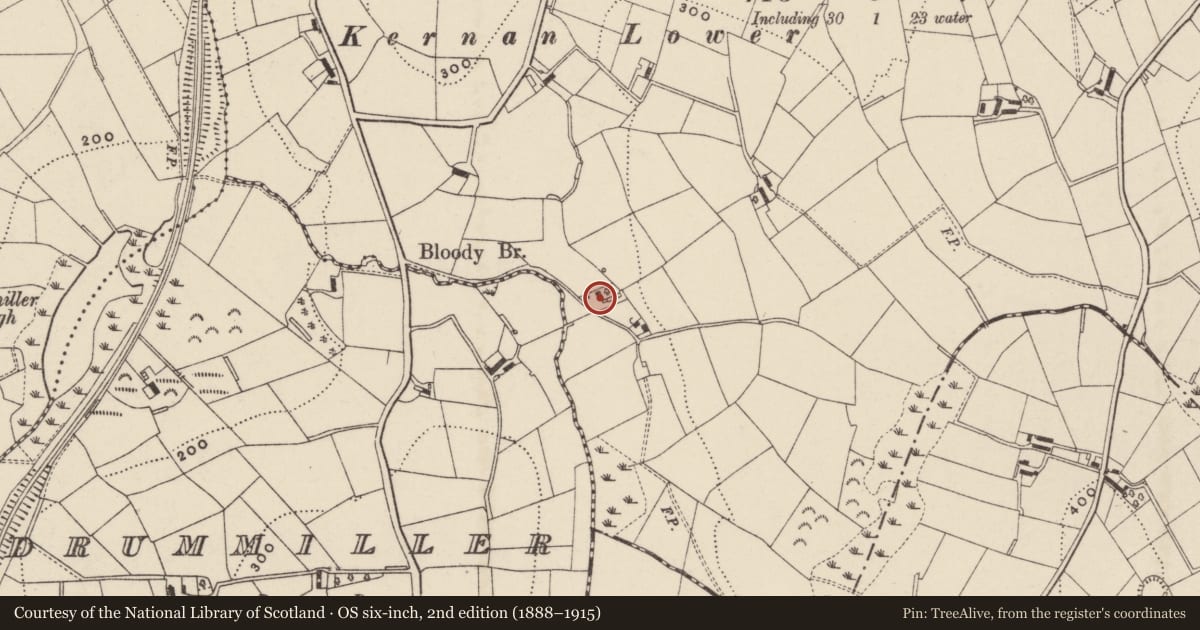 Ordnance Survey six-inch map, 2nd edition (1888–1915) covering the location of 46 Loughbrickland Road, Armagh City, Banbridge and Craigavon, with a pin at the register's coordinates