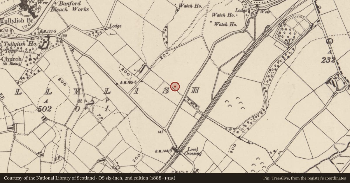 Ordnance Survey six-inch map, 2nd edition (1888–1915) covering the location of Memorial Orange Hall, Tullylish, Armagh City, Banbridge and Craigavon, with a pin at the register's coordinates