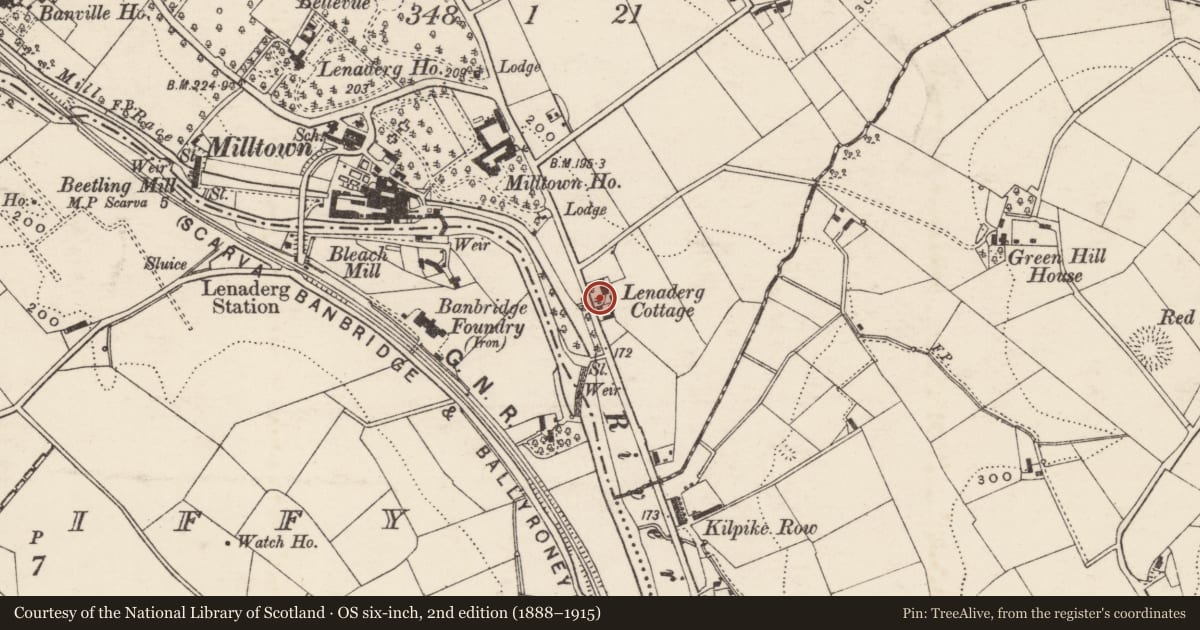 Ordnance Survey six-inch map, 2nd edition (1888–1915) covering the location of Lenaderg Lodge, Armagh City, Banbridge and Craigavon, with a pin at the register's coordinates