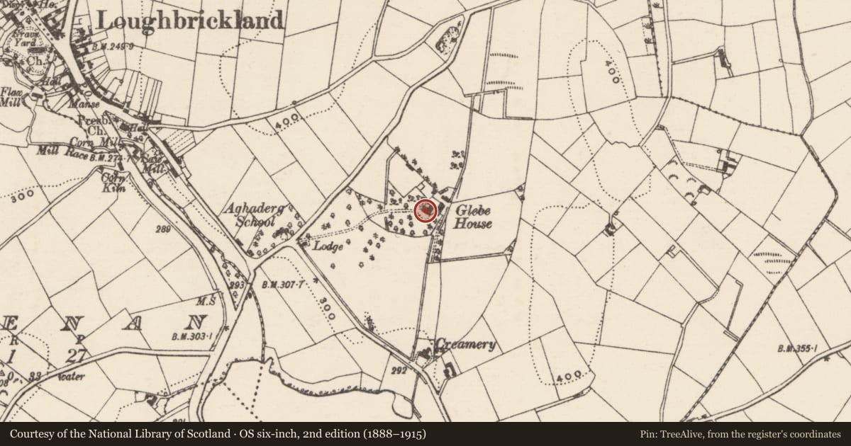 Ordnance Survey six-inch map, 2nd edition (1888–1915) covering the location of Aghaderg Glebe, Drumnahare, Armagh City, Banbridge and Craigavon, with a pin at the register's coordinates