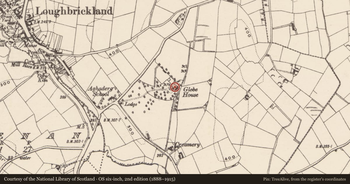 Ordnance Survey six-inch map, 2nd edition (1888–1915) covering the location of Outbuildings, Drumnahare, Armagh City, Banbridge and Craigavon, with a pin at the register's coordinates