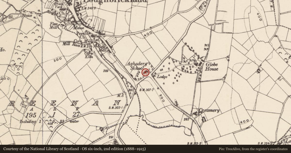 Ordnance Survey six-inch map, 2nd edition (1888–1915) covering the location of Aghaderg Parish Hall, Drumnahare, Armagh City, Banbridge and Craigavon, with a pin at the register's coordinates
