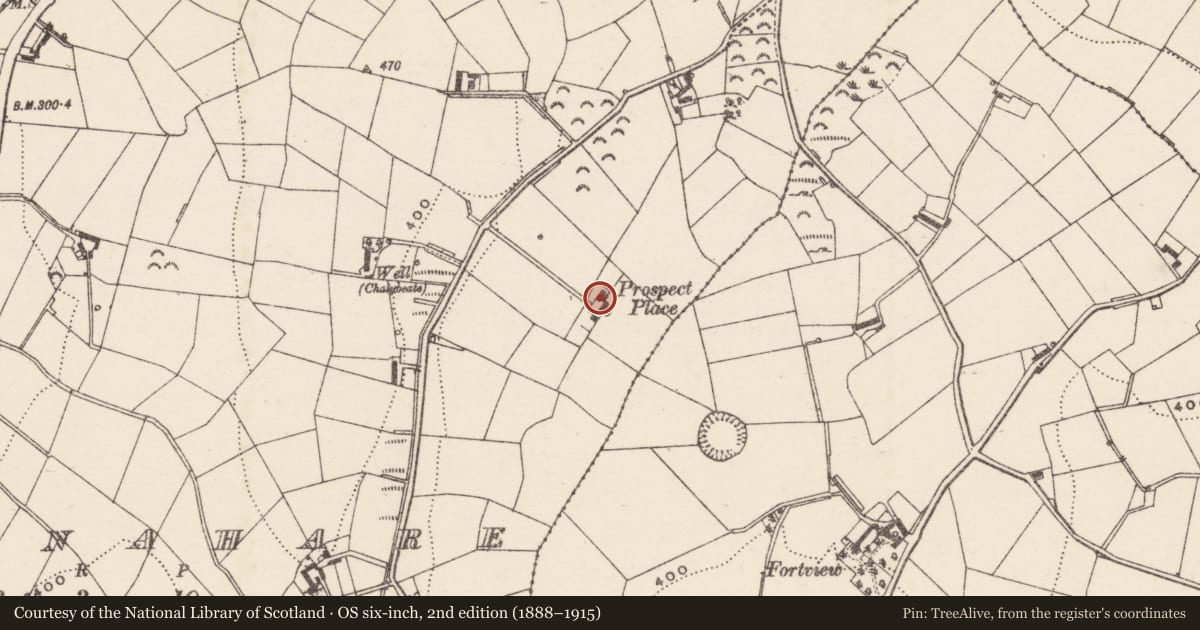Ordnance Survey six-inch map, 2nd edition (1888–1915) covering the location of Prospect House, Armagh City, Banbridge and Craigavon, with a pin at the register's coordinates