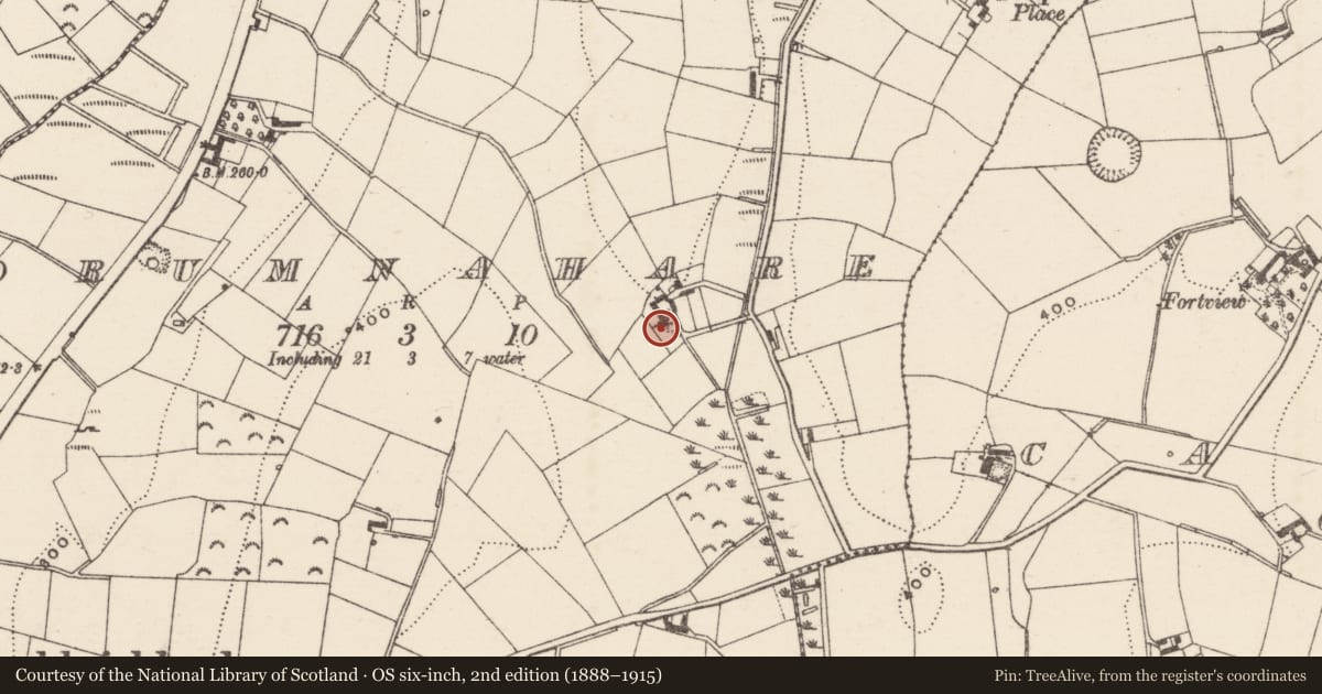 Ordnance Survey six-inch map, 2nd edition (1888–1915) covering the location of 31 Reservoir Road, Armagh City, Banbridge and Craigavon, with a pin at the register's coordinates
