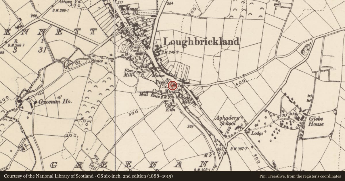 Ordnance Survey six-inch map, 2nd edition (1888–1915) covering the location of Loughbrickland Reformed Presbyterian Church, Drumnahare, Armagh City, Banbridge and Craigavon, with a pin at the register's coordinates