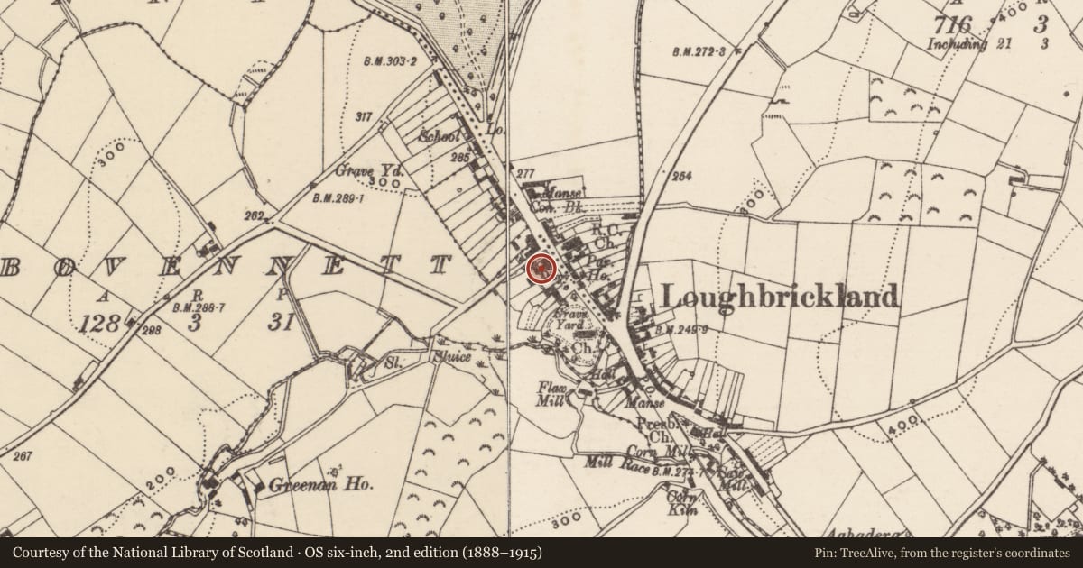 Ordnance Survey six-inch map, 2nd edition (1888–1915) covering the location of Bovenett House, Loughbrickland, Armagh City, Banbridge and Craigavon, with a pin at the register's coordinates