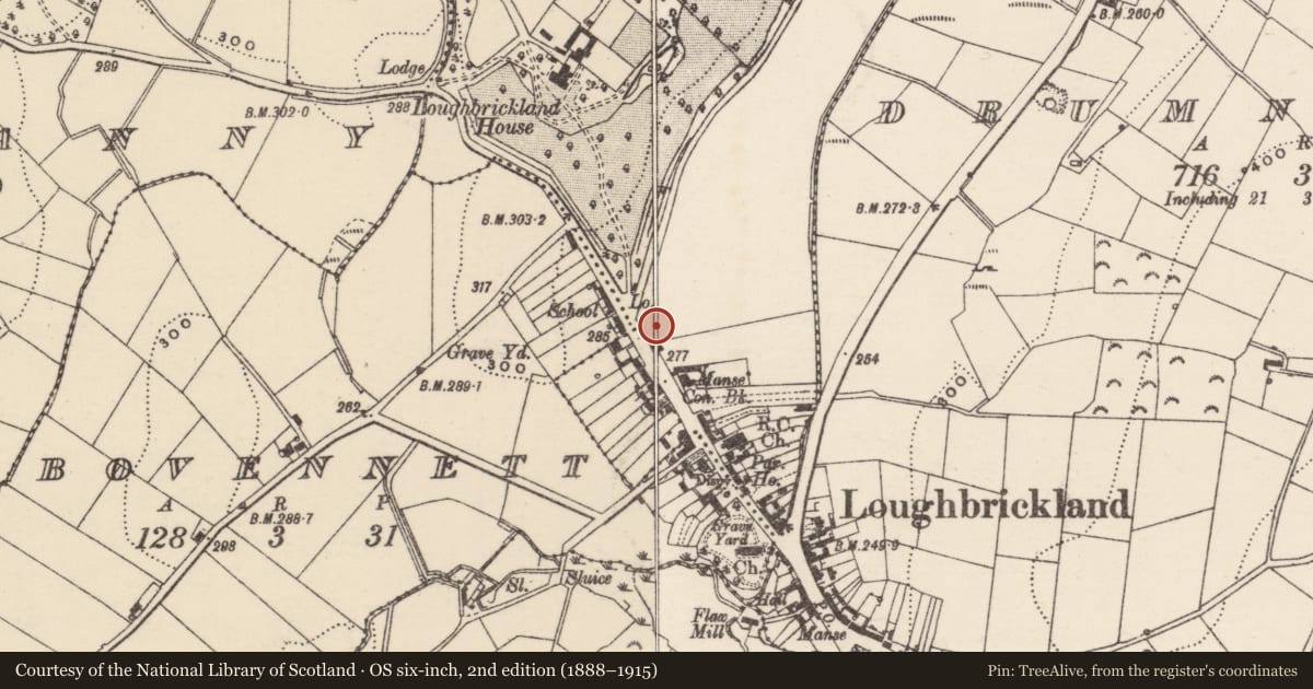 Ordnance Survey six-inch map, 2nd edition (1888–1915) covering the location of 49 Scarva Street, Loughbrickland, Armagh City, Banbridge and Craigavon, with a pin at the register's coordinates