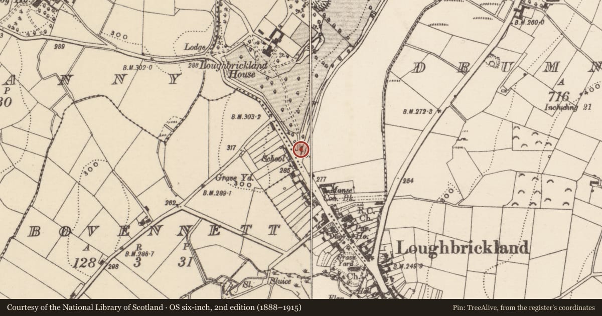 Ordnance Survey six-inch map, 2nd edition (1888–1915) covering the location of Gatelodge, Armagh City, Banbridge and Craigavon, with a pin at the register's coordinates