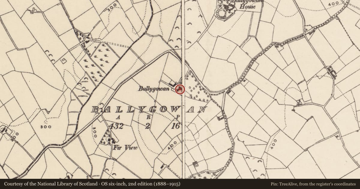 Ordnance Survey six-inch map, 2nd edition (1888–1915) covering the location of 156 Ballygowan Road, Loughbrickland, Armagh City, Banbridge and Craigavon, with a pin at the register's coordinates