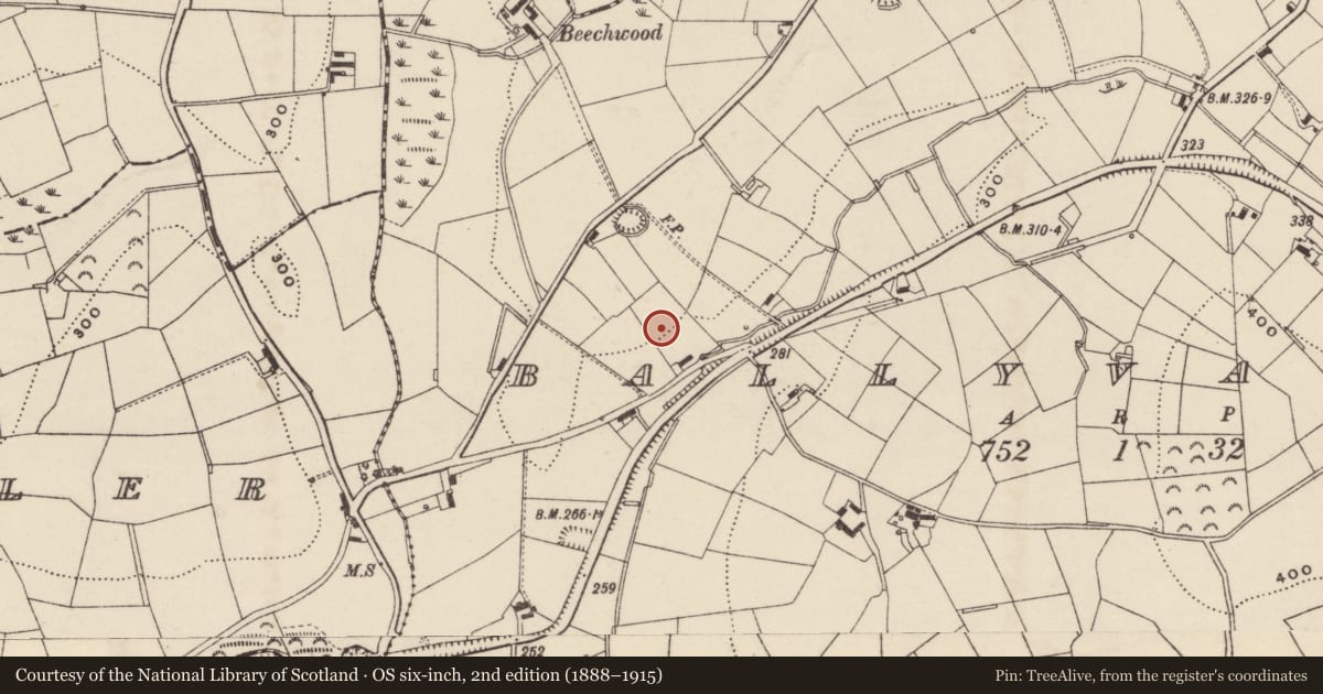 Ordnance Survey six-inch map, 2nd edition (1888–1915) covering the location of 173 Scarva Road, Armagh City, Banbridge and Craigavon, with a pin at the register's coordinates