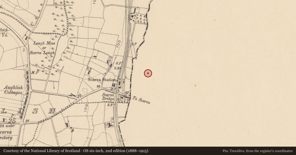 Ordnance Survey six-inch map, 2nd edition (1888–1915) covering the location of 14 Main Street, Monclone, Armagh City, Banbridge and Craigavon, with a pin at the register's coordinates