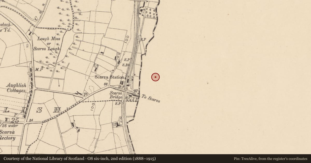 Ordnance Survey six-inch map, 2nd edition (1888–1915) covering the location of 24 Main St, Monclone, Armagh City, Banbridge and Craigavon, with a pin at the register's coordinates