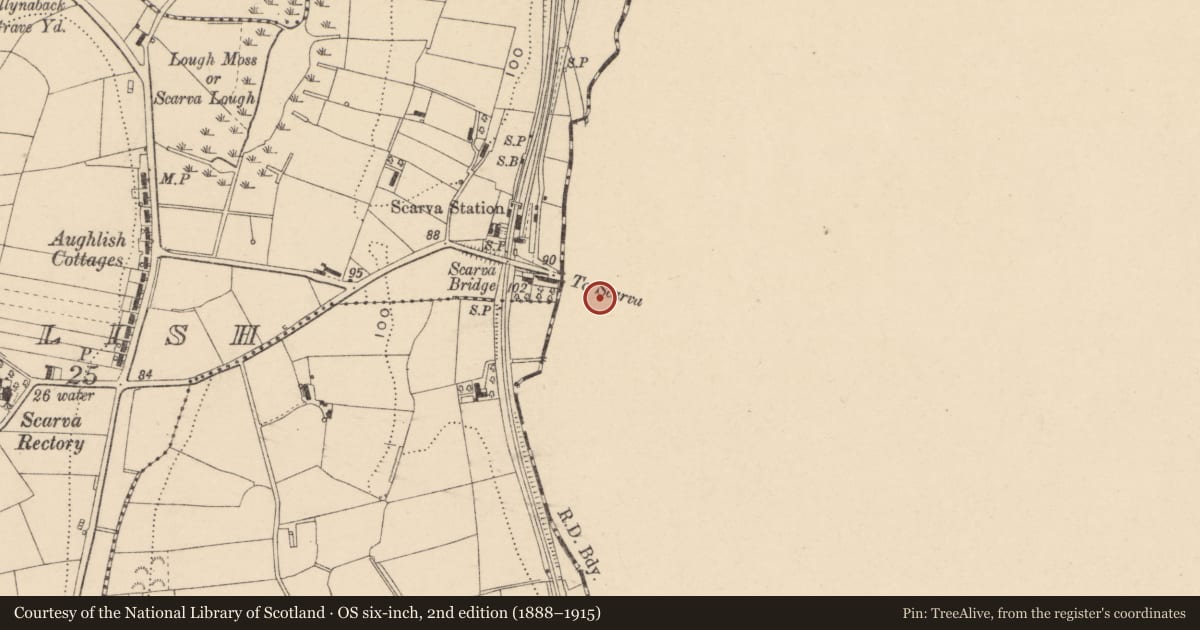Ordnance Survey six-inch map, 2nd edition (1888–1915) covering the location of 48 Main Street, Scarva, Armagh City, Banbridge and Craigavon, with a pin at the register's coordinates
