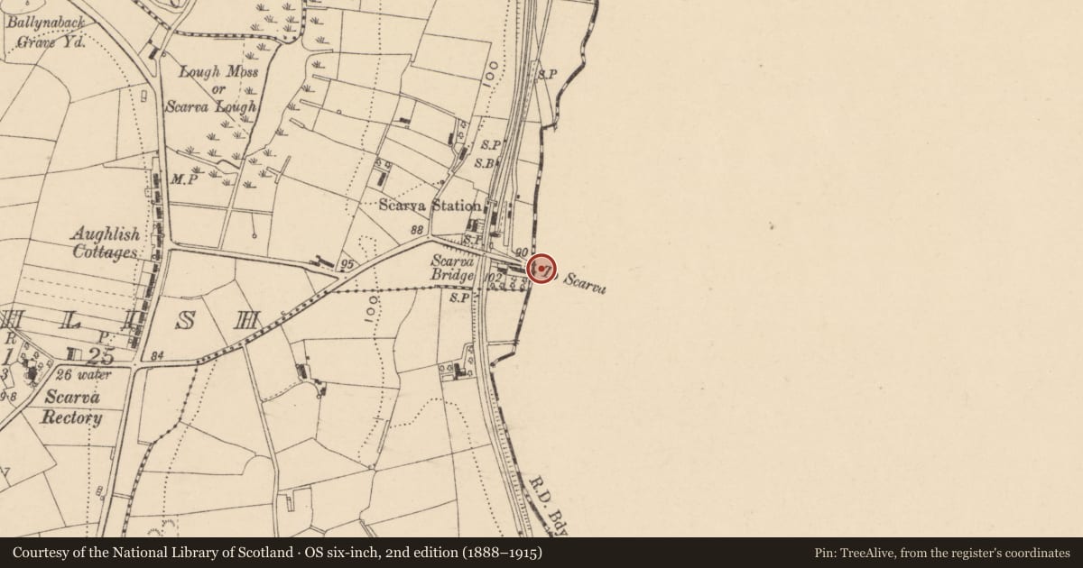 Ordnance Survey six-inch map, 2nd edition (1888–1915) covering the location of Scarva Bridge, Scarva/Aughlish, Armagh City, Banbridge and Craigavon, with a pin at the register's coordinates