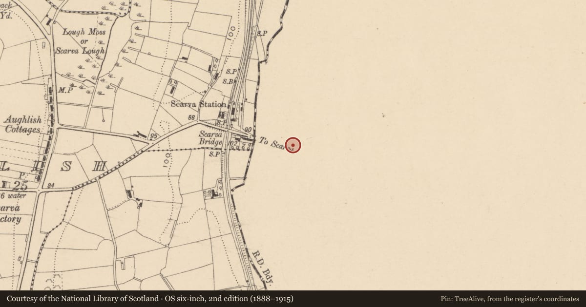 Ordnance Survey six-inch map, 2nd edition (1888–1915) covering the location of St Matthew's Parish Church, Scarva, Armagh City, Banbridge and Craigavon, with a pin at the register's coordinates