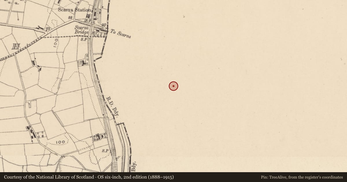 Ordnance Survey six-inch map, 2nd edition (1888–1915) covering the location of Gate screen, Scarva, Armagh City, Banbridge and Craigavon, with a pin at the register's coordinates