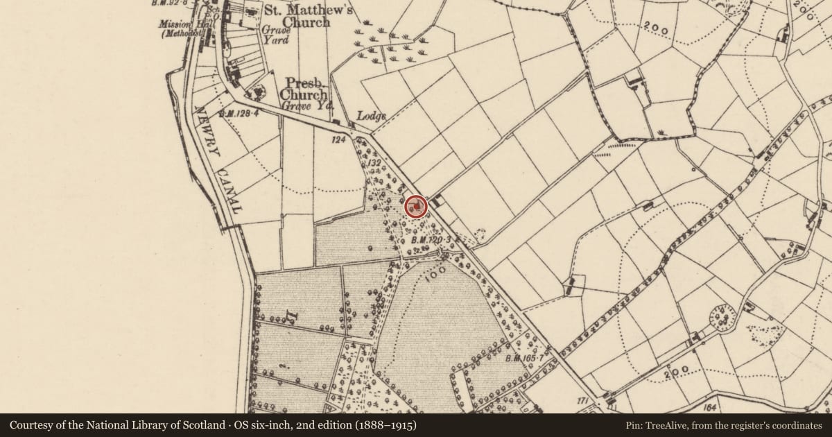 Ordnance Survey six-inch map, 2nd edition (1888–1915) covering the location of Old Mill Road, Armagh City, Banbridge and Craigavon, with a pin at the register's coordinates