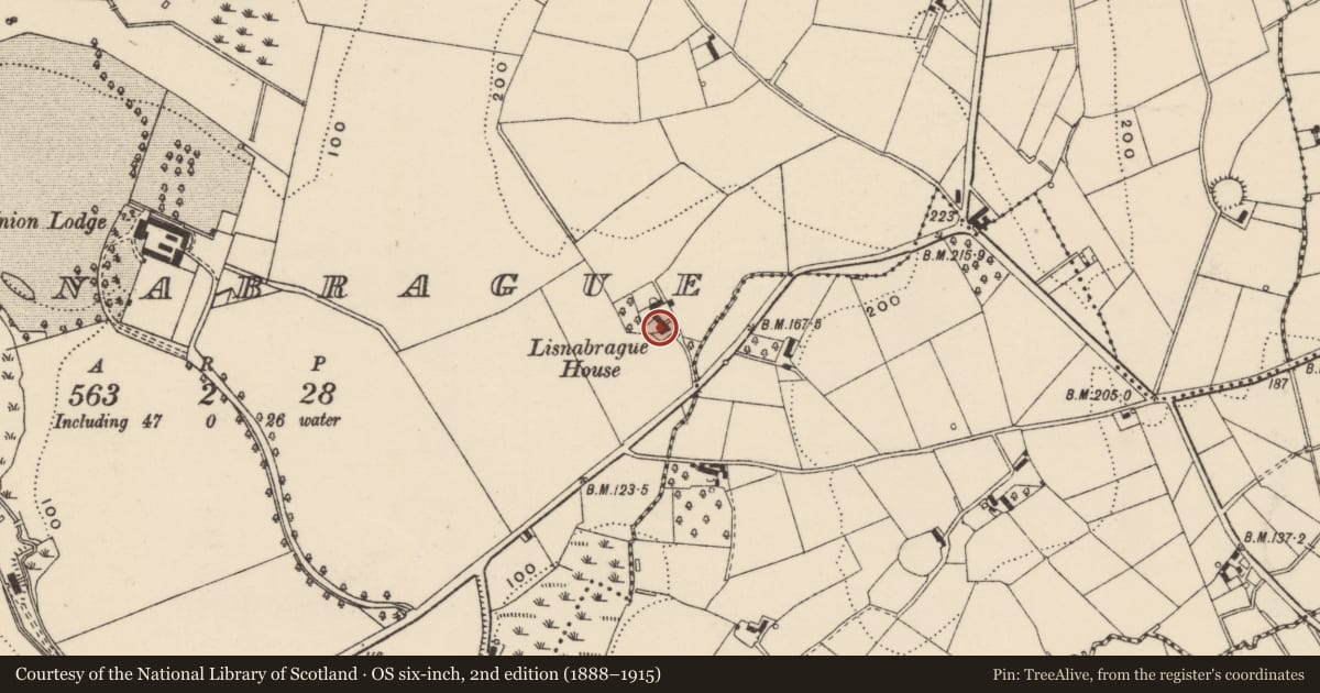 Ordnance Survey six-inch map, 2nd edition (1888–1915) covering the location of Lisnabrague House, Armagh City, Banbridge and Craigavon, with a pin at the register's coordinates