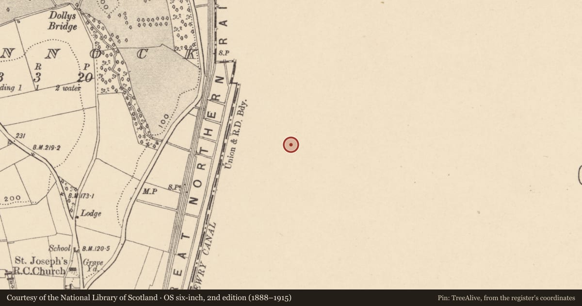 Ordnance Survey six-inch map, 2nd edition (1888–1915) covering the location of 11 Bann Road, Armagh City, Banbridge and Craigavon, with a pin at the register's coordinates
