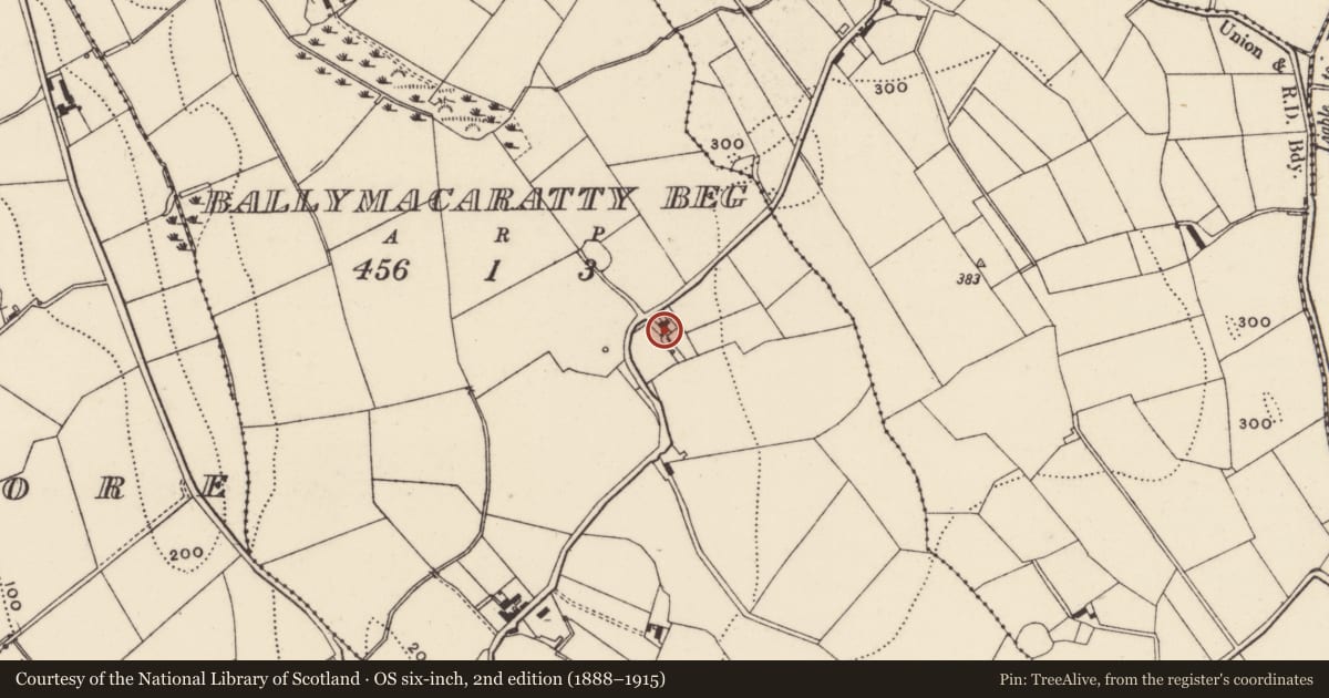 Ordnance Survey six-inch map, 2nd edition (1888–1915) covering the location of 28 Ballymore Road, Ballymacaratty Beg, Armagh City, Banbridge and Craigavon, with a pin at the register's coordinates