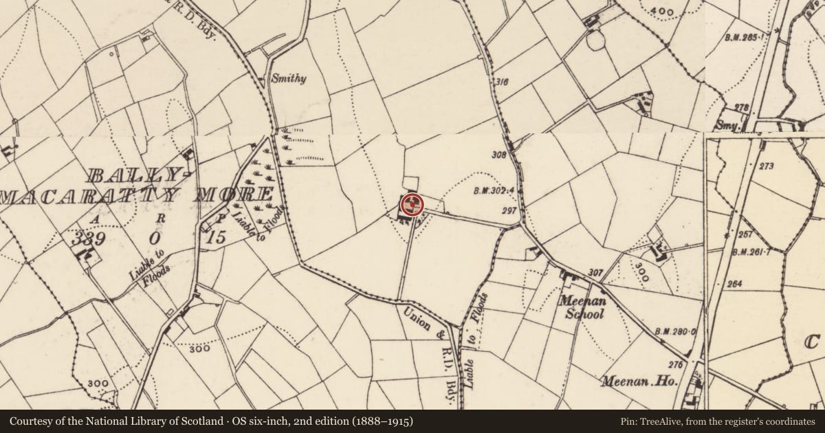 Ordnance Survey six-inch map, 2nd edition (1888–1915) covering the location of Carrick House, Carrickdrumman, Armagh City, Banbridge and Craigavon, with a pin at the register's coordinates