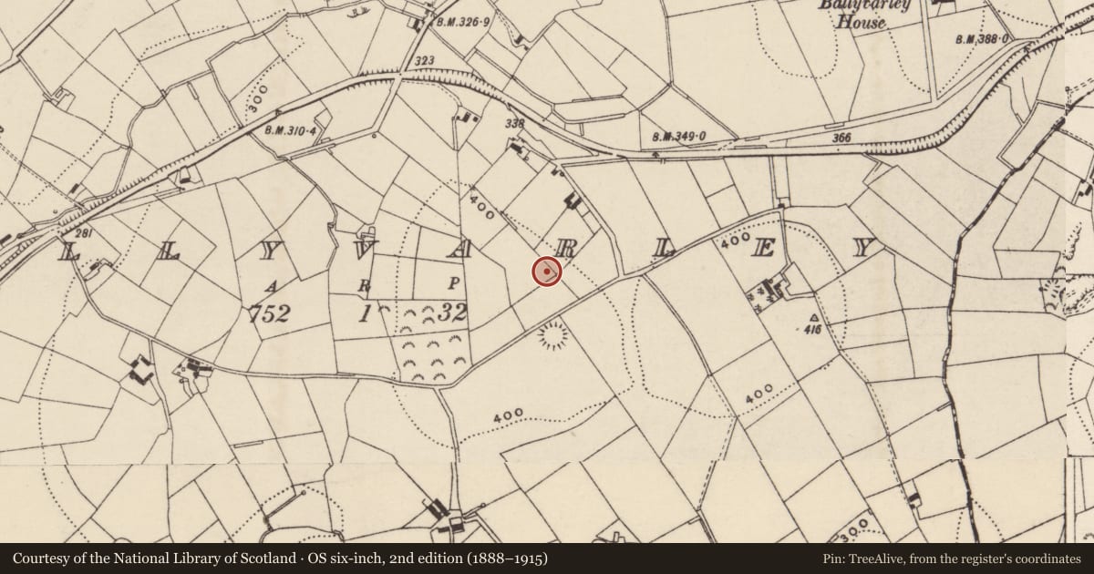 Ordnance Survey six-inch map, 2nd edition (1888–1915) covering the location of Water Blow Off Tower, Ballyvarley, Armagh City, Banbridge and Craigavon, with a pin at the register's coordinates