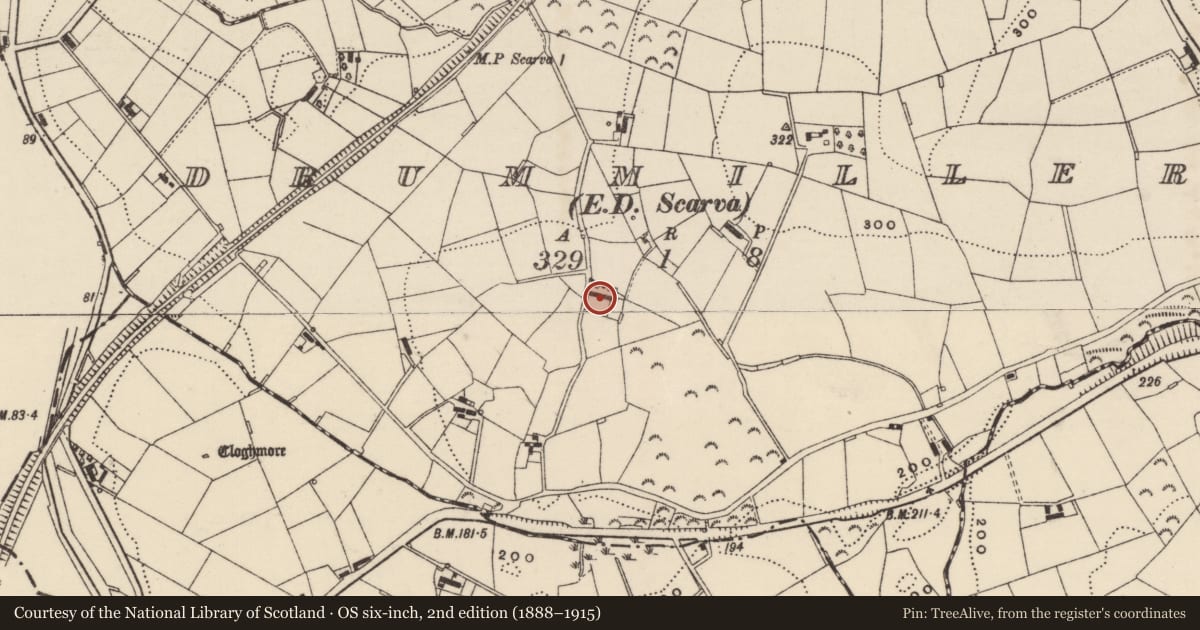 Ordnance Survey six-inch map, 2nd edition (1888–1915) covering the location of 29-31 Glenloughan Road, Drummiller, Armagh City, Banbridge and Craigavon, with a pin at the register's coordinates
