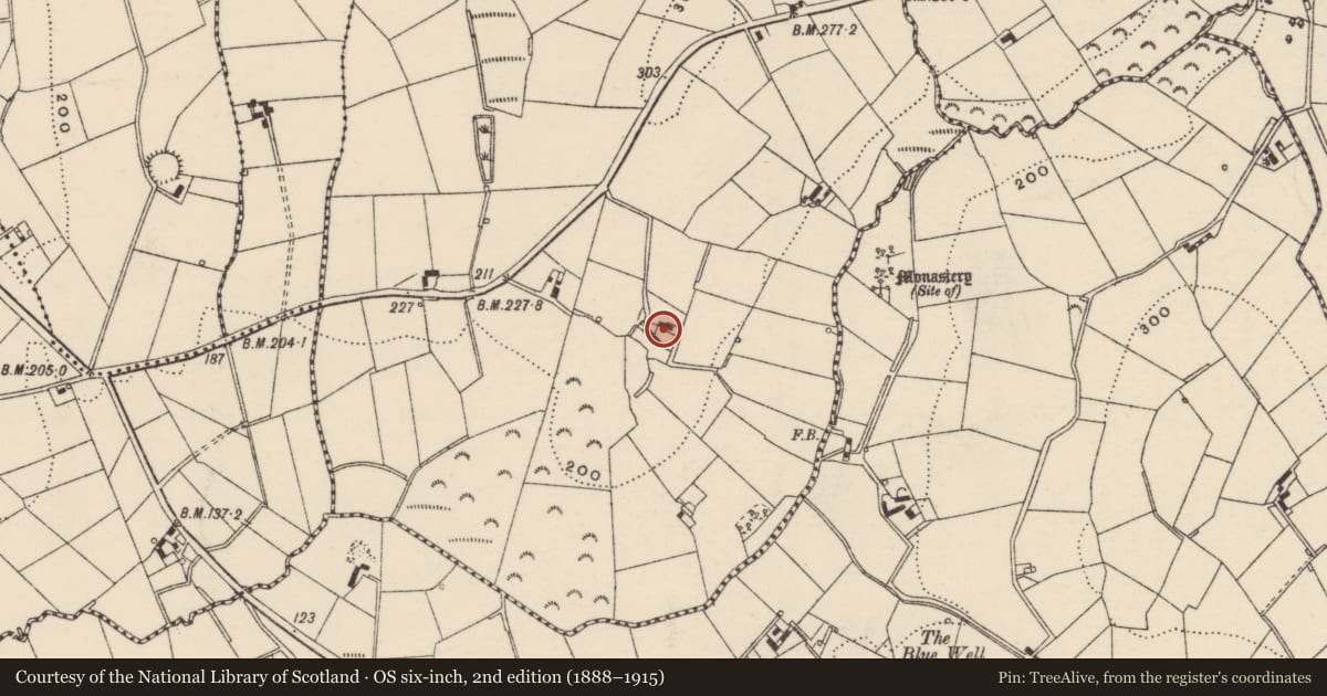 Ordnance Survey six-inch map, 2nd edition (1888–1915) covering the location of 62 Poyntzpass Road, Legananny, Armagh City, Banbridge and Craigavon, with a pin at the register's coordinates