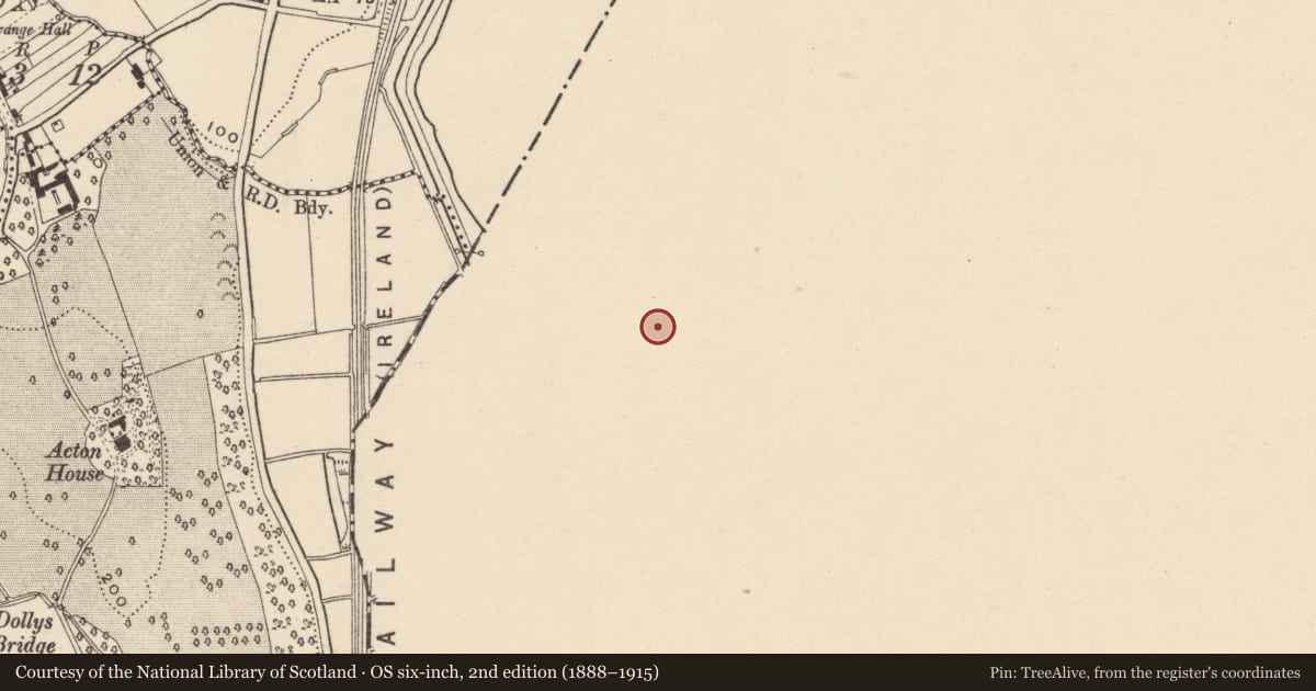 Ordnance Survey six-inch map, 2nd edition (1888–1915) covering the location of Vernacular Dwelling, Drumsallagh, Armagh City, Banbridge and Craigavon, with a pin at the register's coordinates
