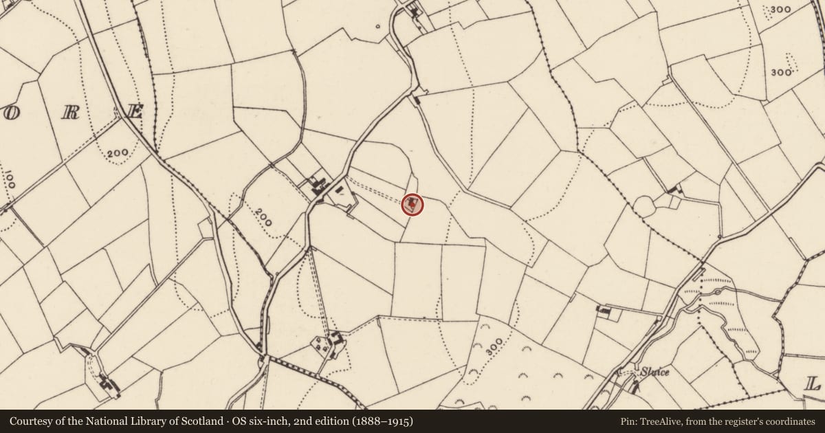 Ordnance Survey six-inch map, 2nd edition (1888–1915) covering the location of 16 Ballymore Road, Ballymacaratty Beg, Armagh City, Banbridge and Craigavon, with a pin at the register's coordinates