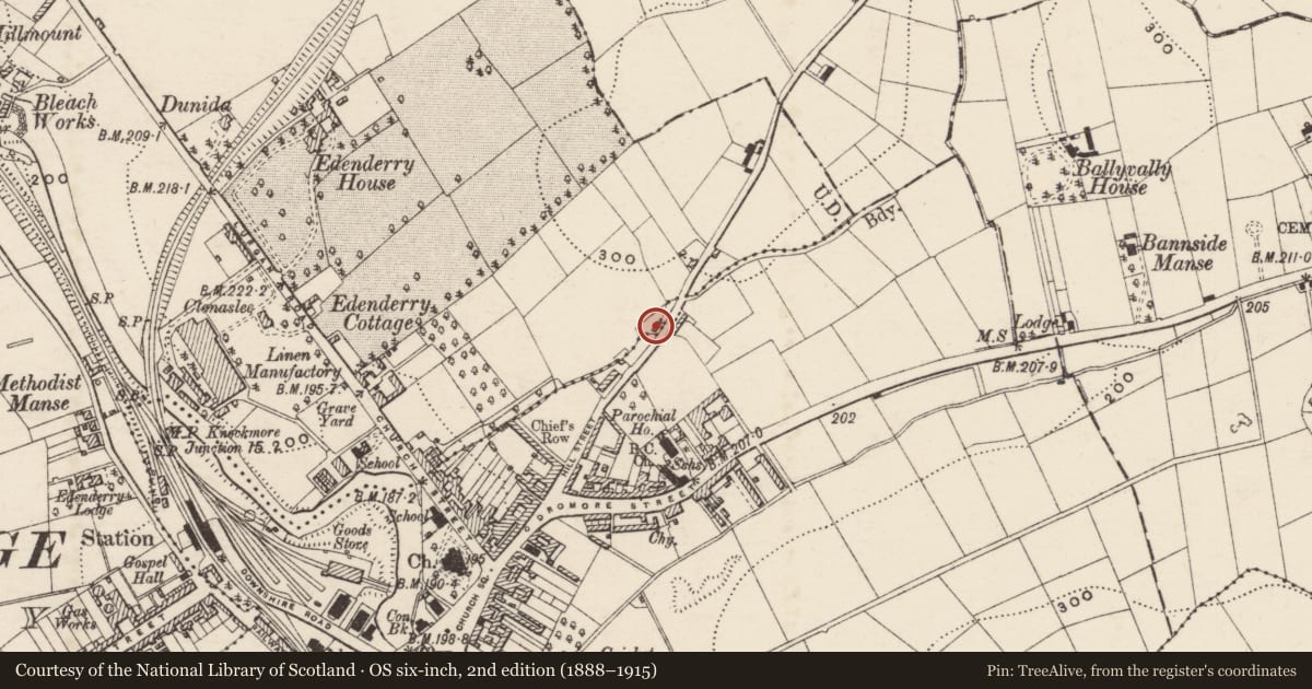 Ordnance Survey six-inch map, 2nd edition (1888–1915) covering the location of 28 Hill Street, Armagh City, Banbridge and Craigavon, with a pin at the register's coordinates