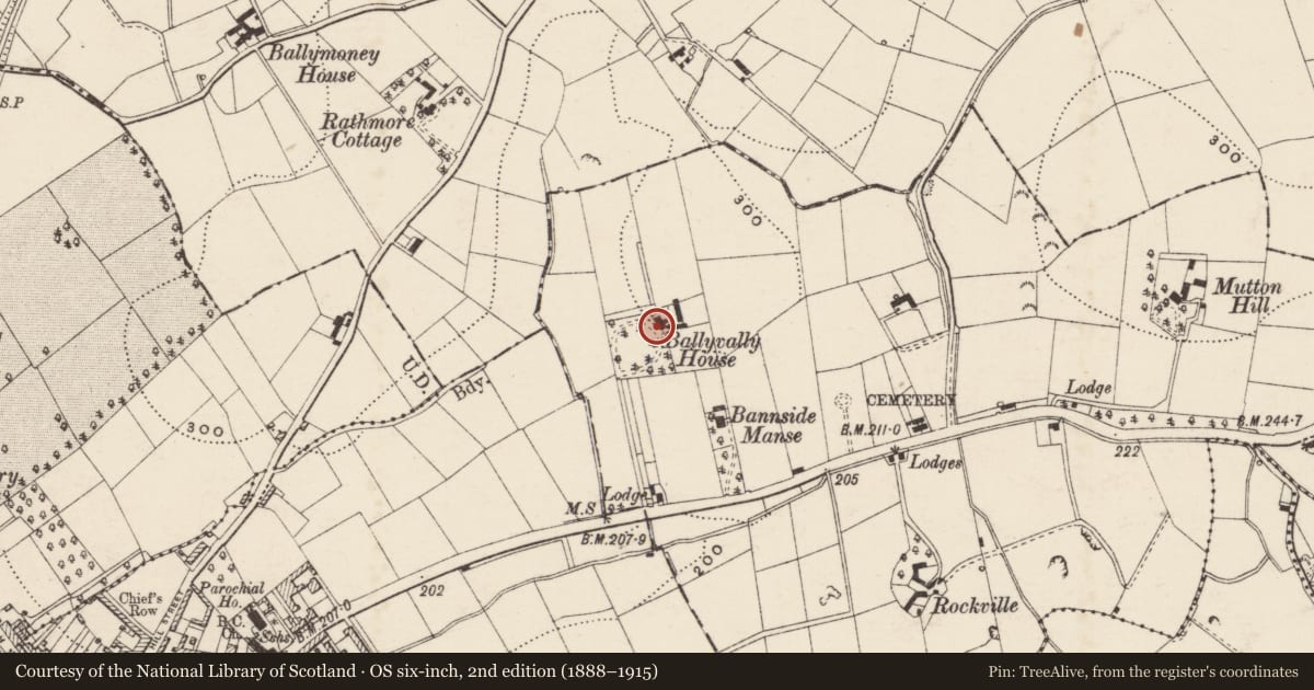 Ordnance Survey six-inch map, 2nd edition (1888–1915) covering the location of Ballyvally House, Armagh City, Banbridge and Craigavon, with a pin at the register's coordinates