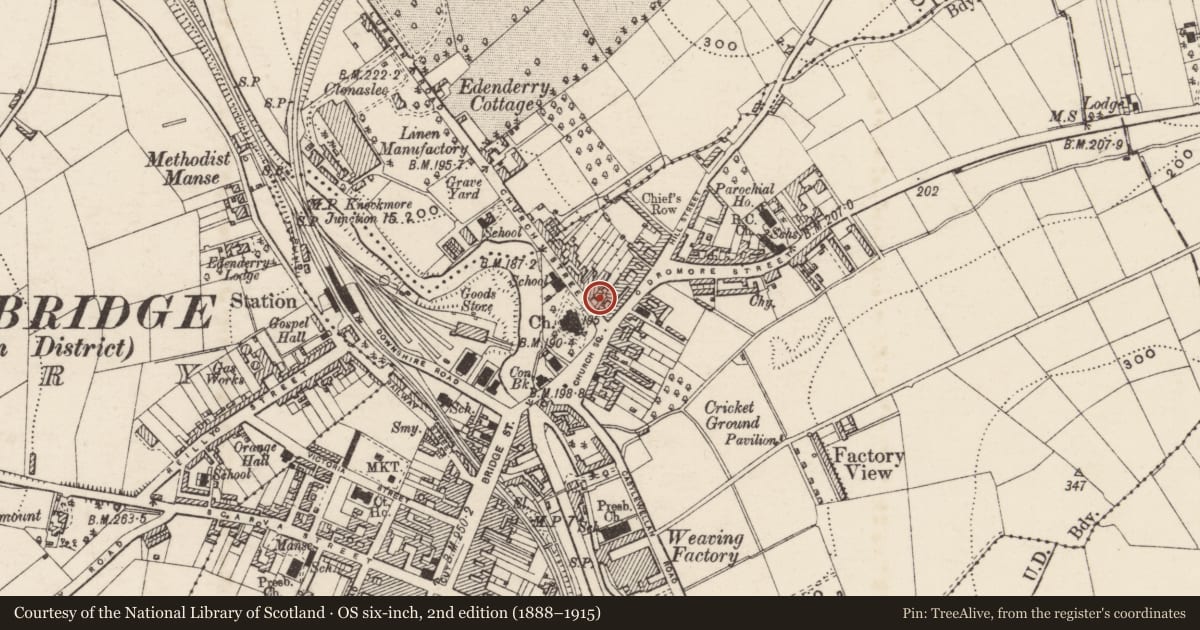 Ordnance Survey six-inch map, 2nd edition (1888–1915) covering the location of Riversley House, Ballyvally, Armagh City, Banbridge and Craigavon, with a pin at the register's coordinates