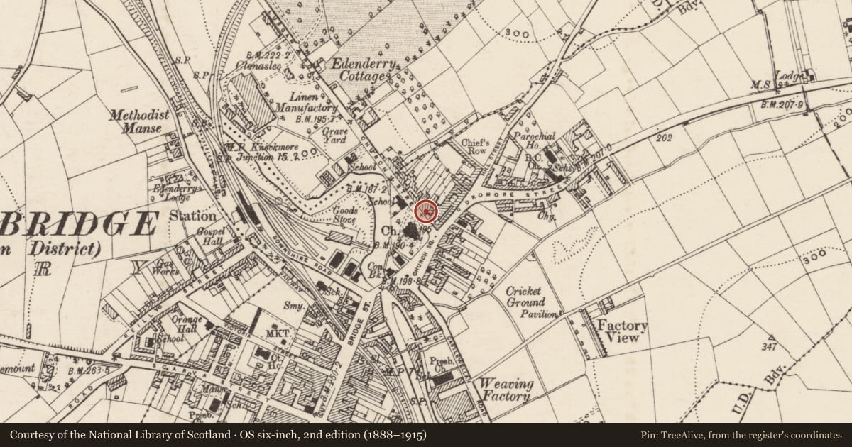 Ordnance Survey six-inch map, 2nd edition (1888–1915) covering the location of Tyrella House, Ballyvally, Armagh City, Banbridge and Craigavon, with a pin at the register's coordinates