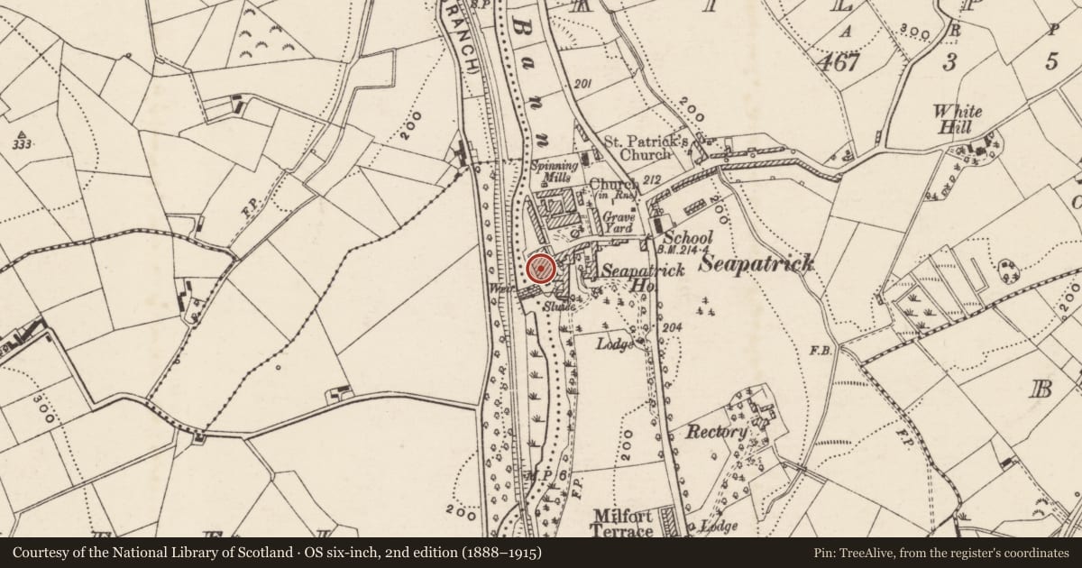 Ordnance Survey six-inch map, 2nd edition (1888–1915) covering the location of Seapatrick Mills, Armagh City, Banbridge and Craigavon, with a pin at the register's coordinates