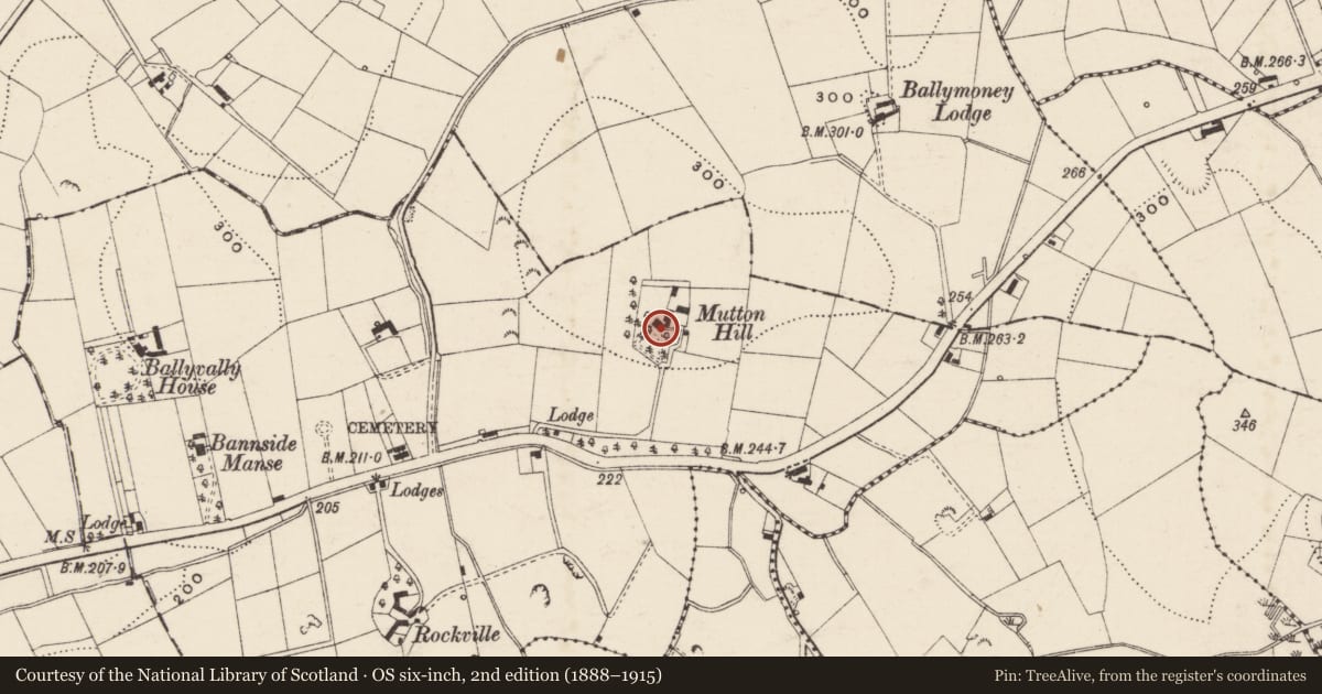 Ordnance Survey six-inch map, 2nd edition (1888–1915) covering the location of Mutton Hill, Tullyear, Armagh City, Banbridge and Craigavon, with a pin at the register's coordinates