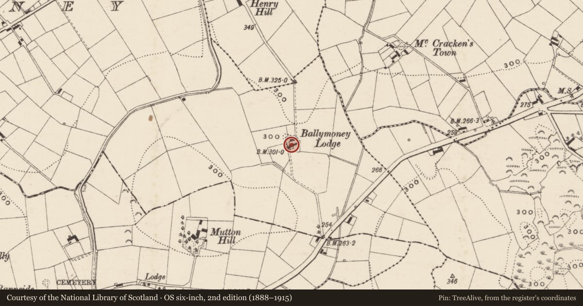 Ordnance Survey six-inch map, 2nd edition (1888–1915) covering the location of Ballymoney Lodge, Armagh City, Banbridge and Craigavon, with a pin at the register's coordinates
