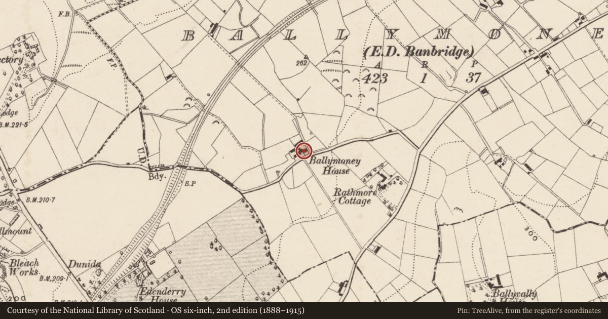 Ordnance Survey six-inch map, 2nd edition (1888–1915) covering the location of 56 Kiln Lane, Edenderry, Armagh City, Banbridge and Craigavon, with a pin at the register's coordinates