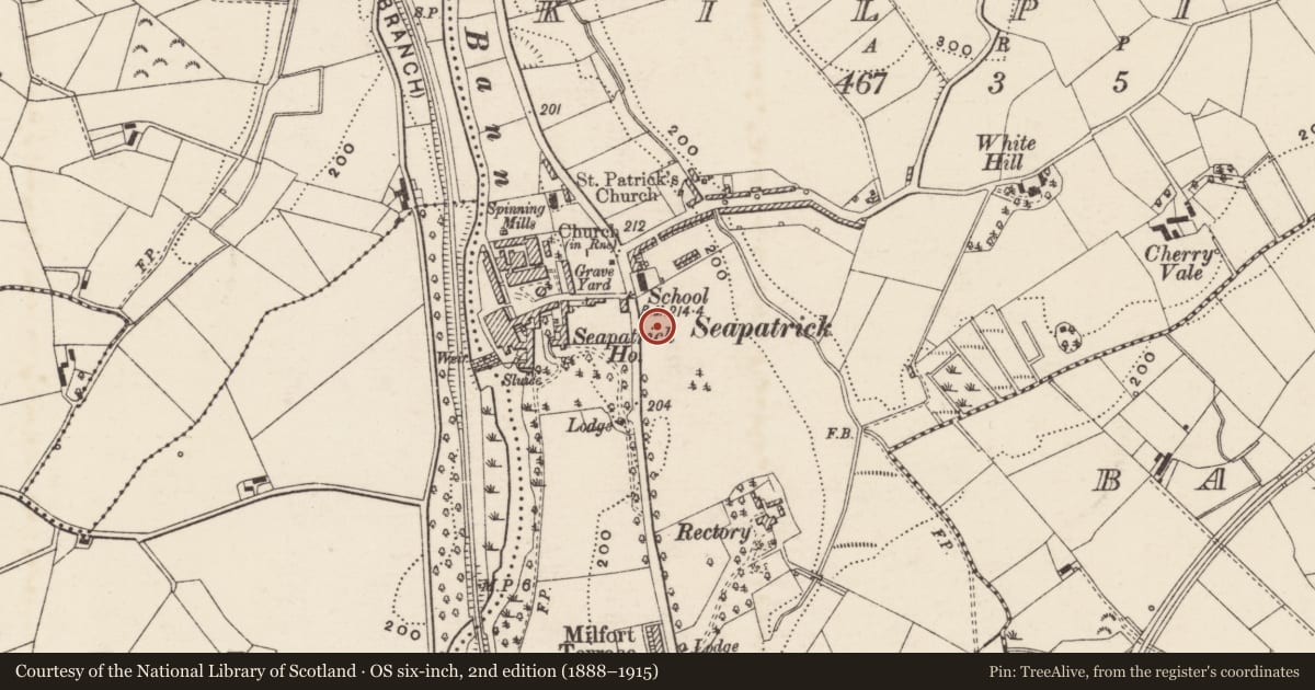 Ordnance Survey six-inch map, 2nd edition (1888–1915) covering the location of 2 Hayes Park, Kilpike, Armagh City, Banbridge and Craigavon, with a pin at the register's coordinates