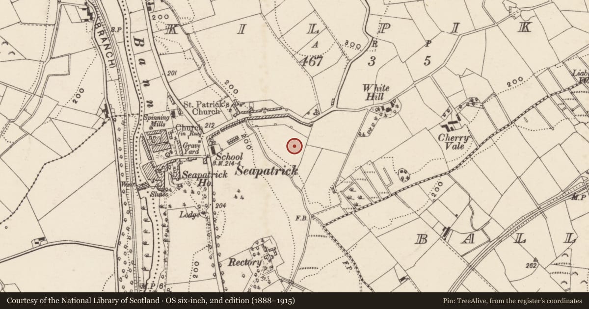 Ordnance Survey six-inch map, 2nd edition (1888–1915) covering the location of 19 Hayes Park, Kilpike, Armagh City, Banbridge and Craigavon, with a pin at the register's coordinates