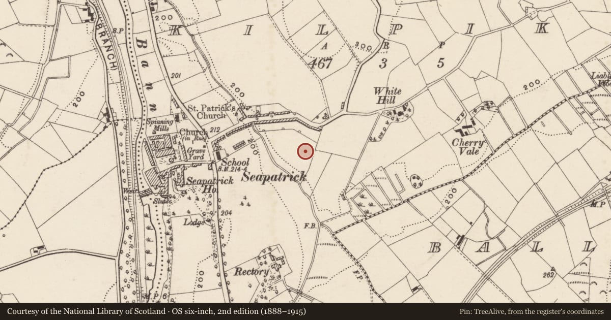 Ordnance Survey six-inch map, 2nd edition (1888–1915) covering the location of 20 Hayes Park, Kilpike, Armagh City, Banbridge and Craigavon, with a pin at the register's coordinates