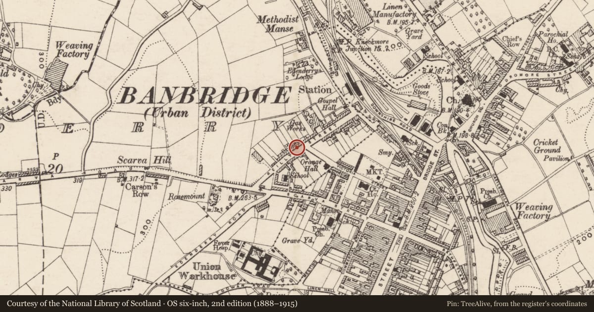 Ordnance Survey six-inch map, 2nd edition (1888–1915) covering the location of McClelland Fountain, Drumnagally, Armagh City, Banbridge and Craigavon, with a pin at the register's coordinates